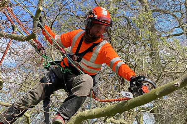 werkpositionering in boom